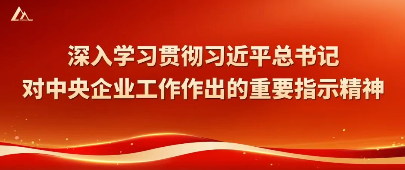 IM体育·(中国)官方网站 - APP下载